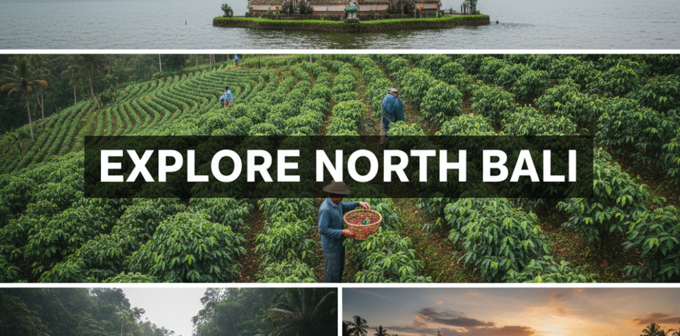 explore north of bali